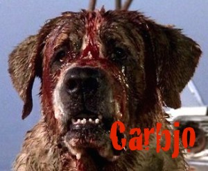 carbjo_dog