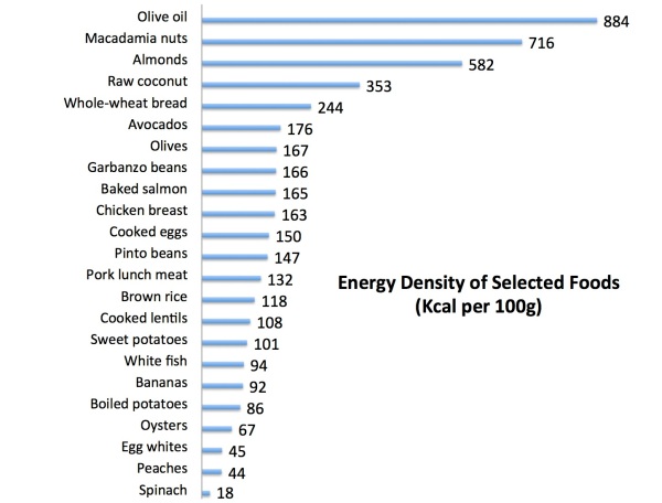 energy_density_of_selected_foods