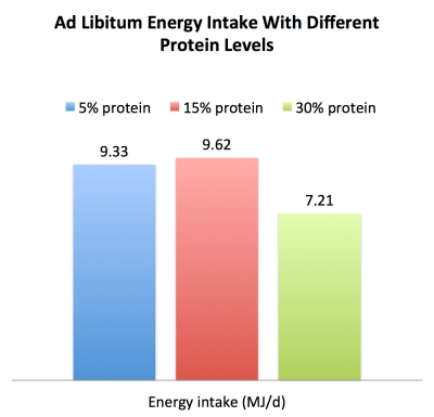 energy_intake_different_protein_levels